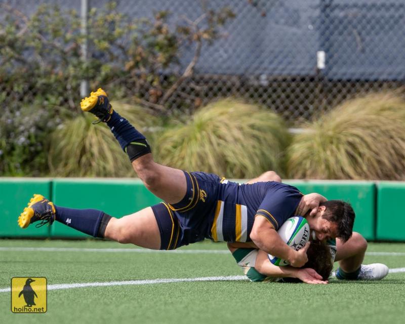 2-18-19 - Cal - Alex Ho