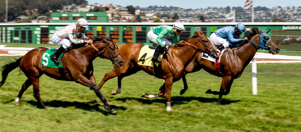 8-26-19 - GGF - Bill Vassar