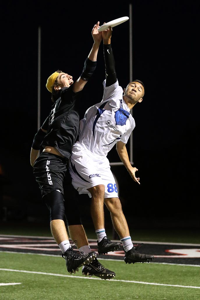 Spiders - 6-15-19 - Darren Yamasita