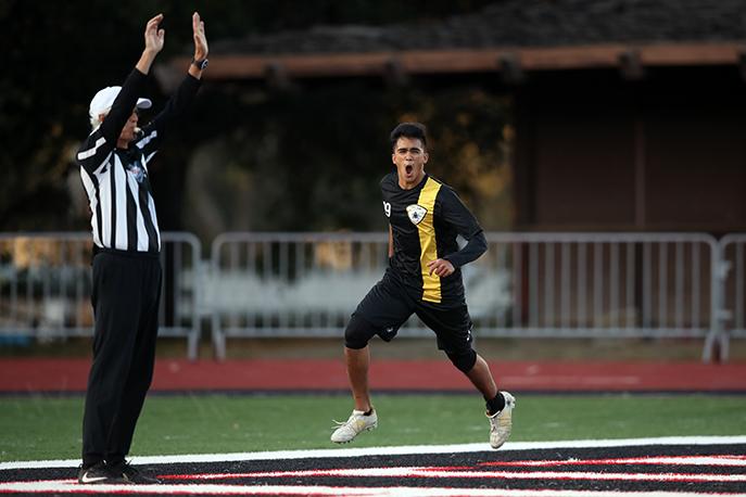 5-13-19 - Spiders - Darren Yamashita