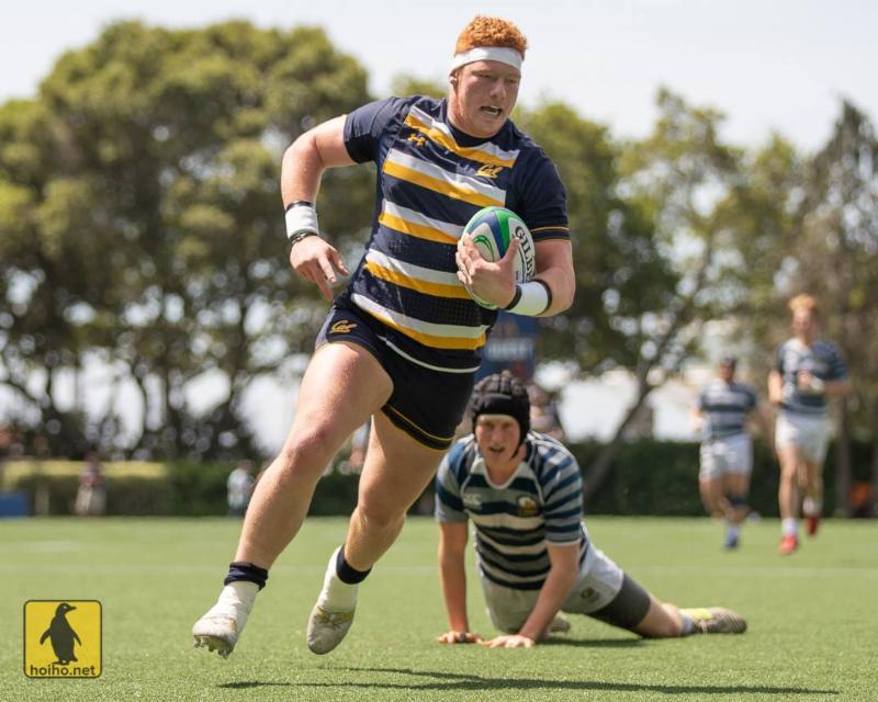 4-15-19 - Cal - Alex Ho