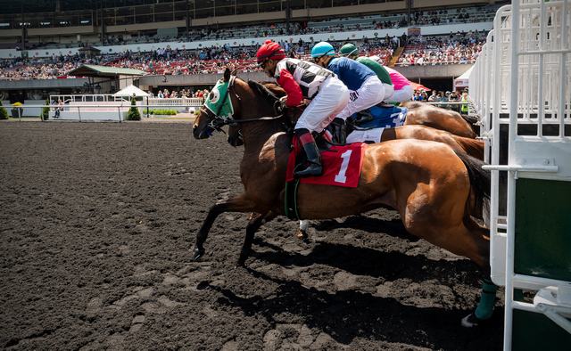 5-13-19 - Golden Gate Fields