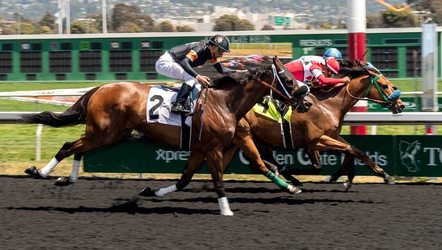 5-13-19 - Golden Gate Fields