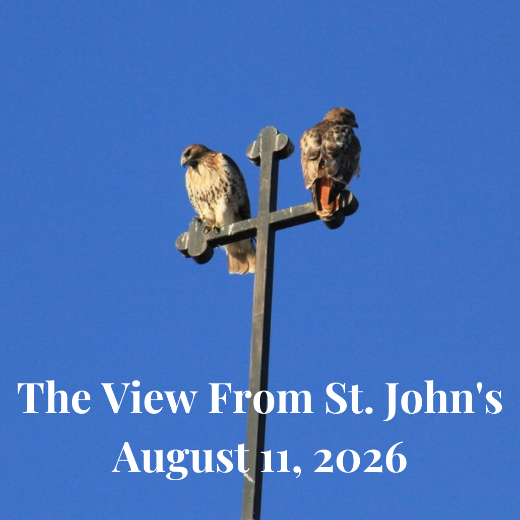 view_newsletter_header_steeple_p11.png