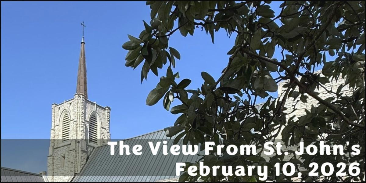 The View From St. John's February 3 2026.jpg