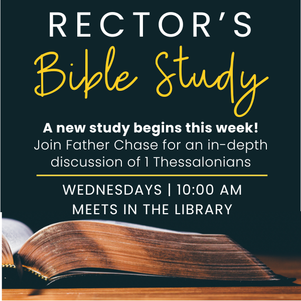 Rector_s_Bible_Study_600_x_600_px_p1.png