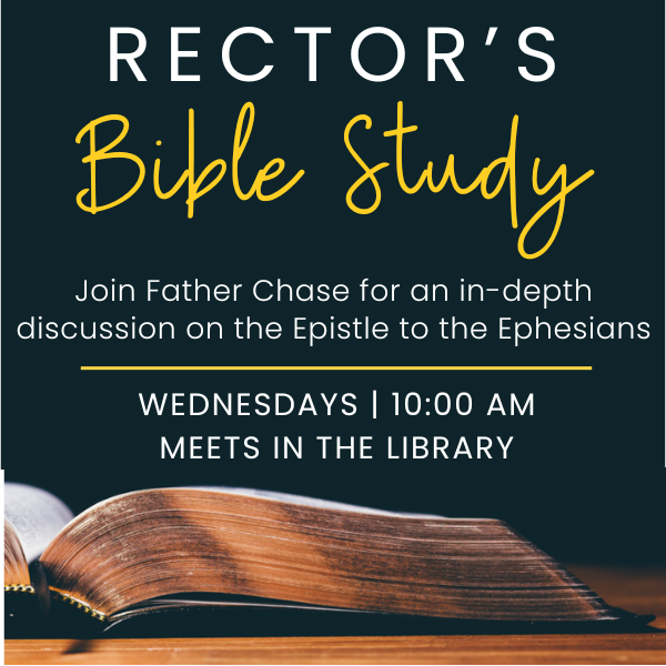 Rector_s_Bible_Study_600_x_600_px_p1.png