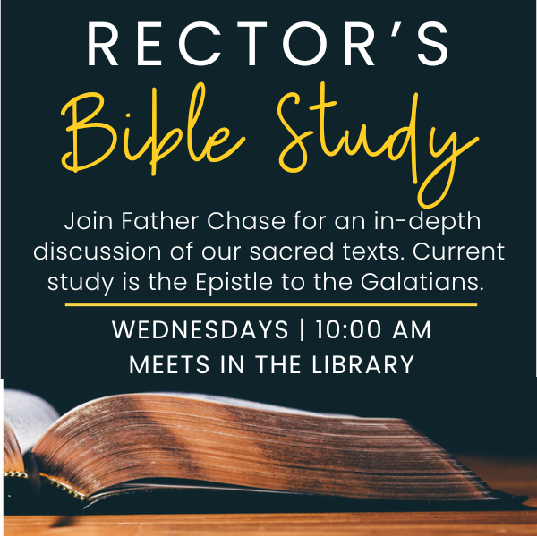Rector_s_Bible_Study_600_x_600_px_p1.png