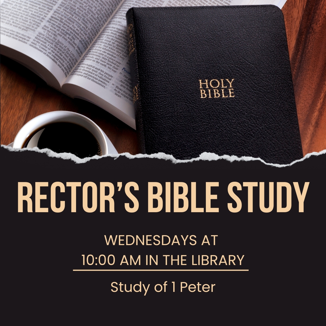 Rector's  bible Study.jpg