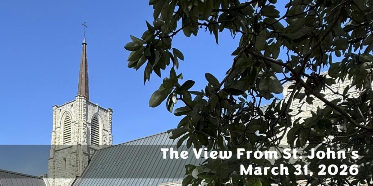 The view from St John's newsletter header.jpg