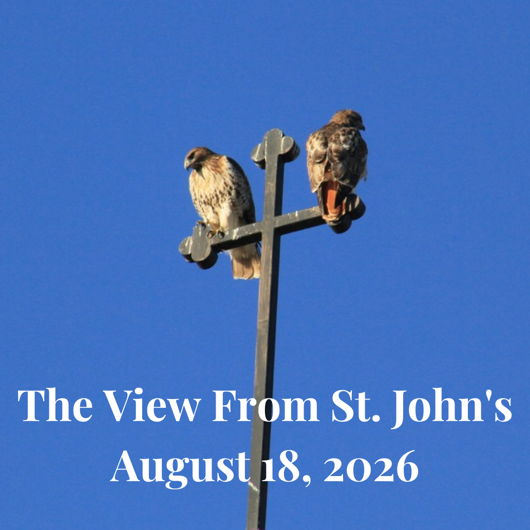 view_newsletter_header_steeple_p12.png