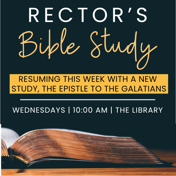 Rector_s_Bible_Study_600_x_600_px_p1.png