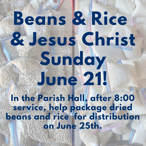 Beans_and_Rice_distribution_600X600_p6.png