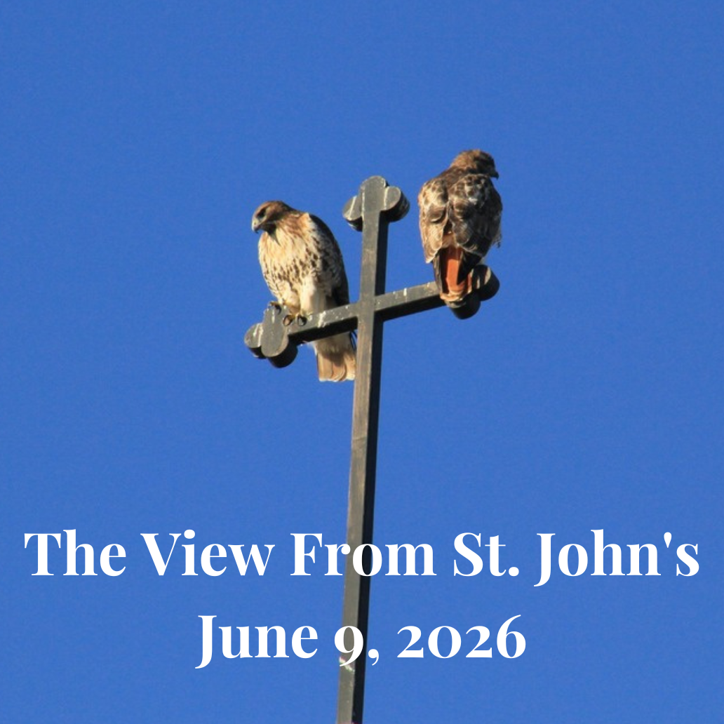 view_newsletter_header_steeple_p2.png