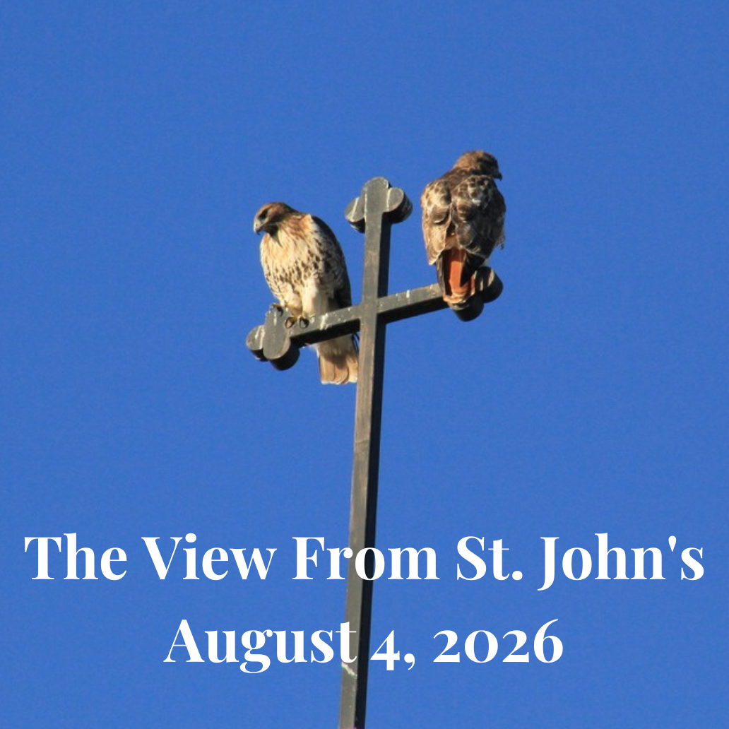 view_newsletter_header_steeple_p10.png