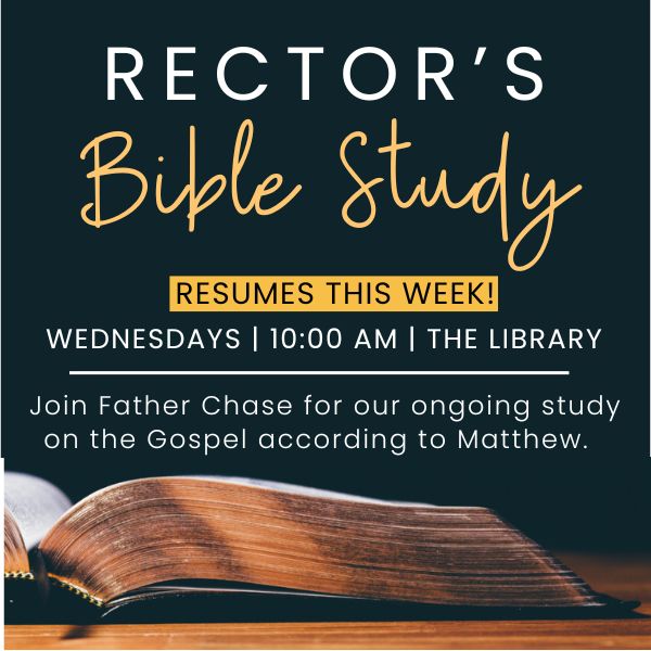 Rector's Bible Study (600 x 600 px).jpg