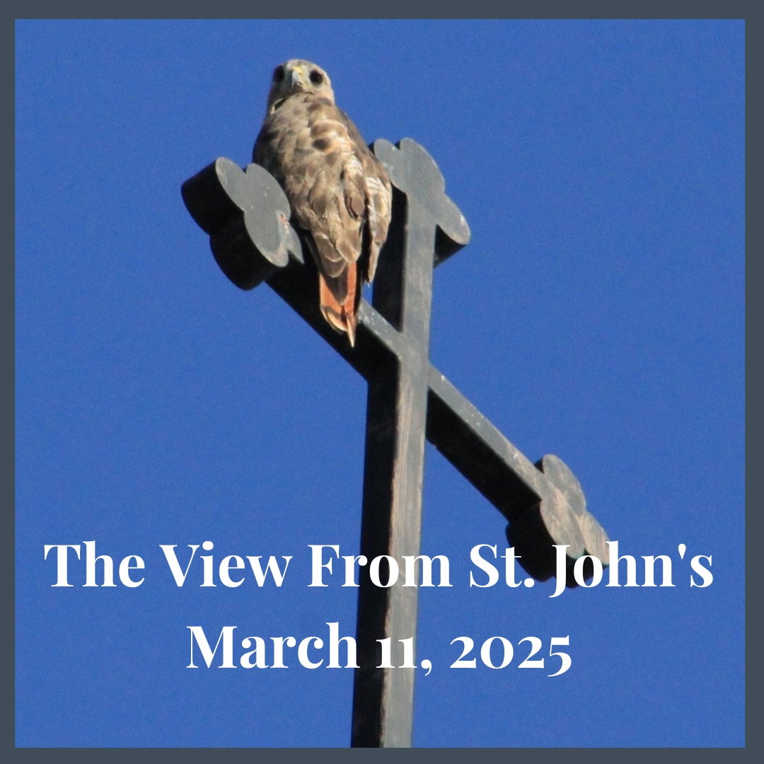 Copy of the view from st johns.jpg