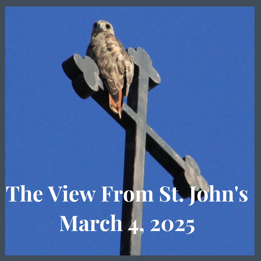 Copy of the view from st johns.jpg