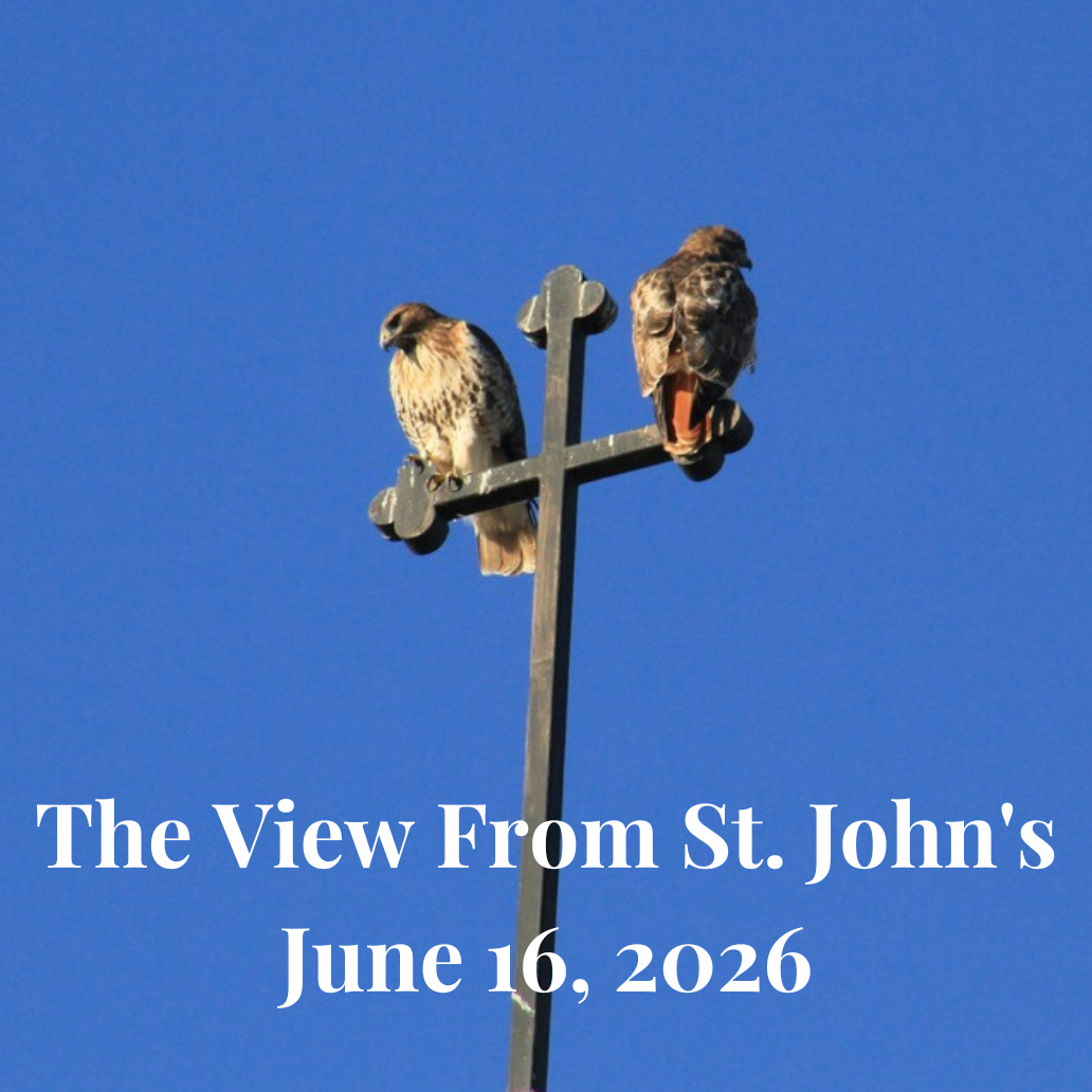 view_newsletter_header_steeple_p3.png