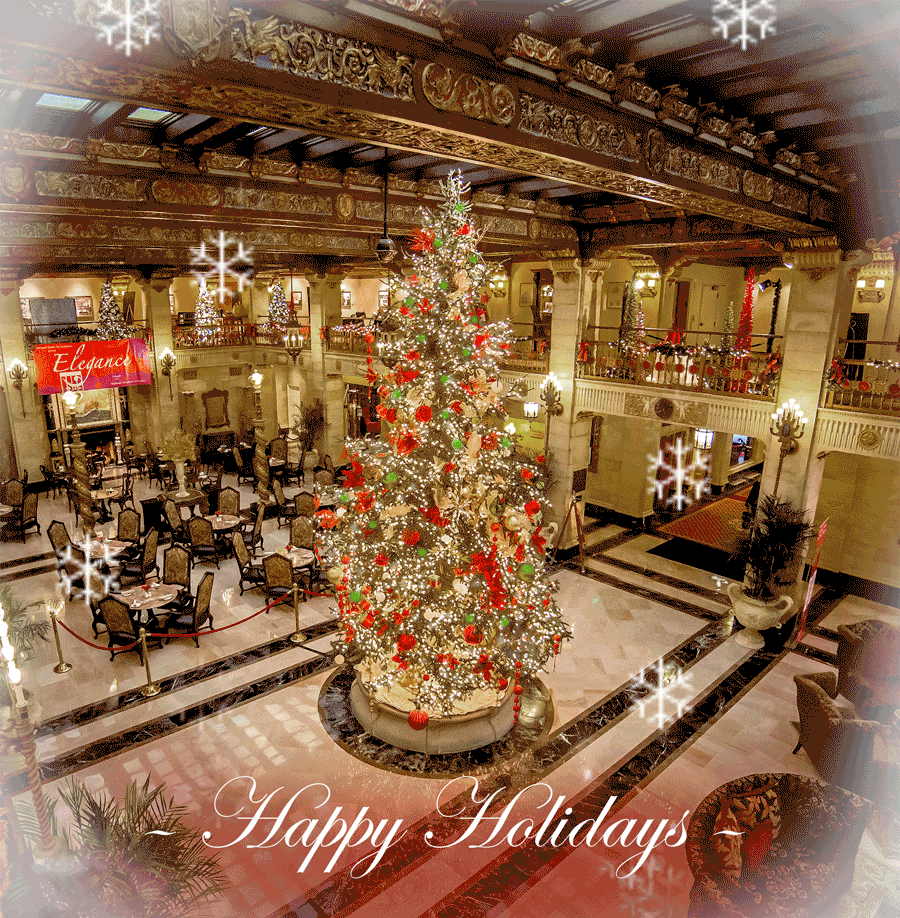 Join Us This Holiday Season Christmas Tree Elegance Join Us This Holiday Season Christmas Tree Elegance
