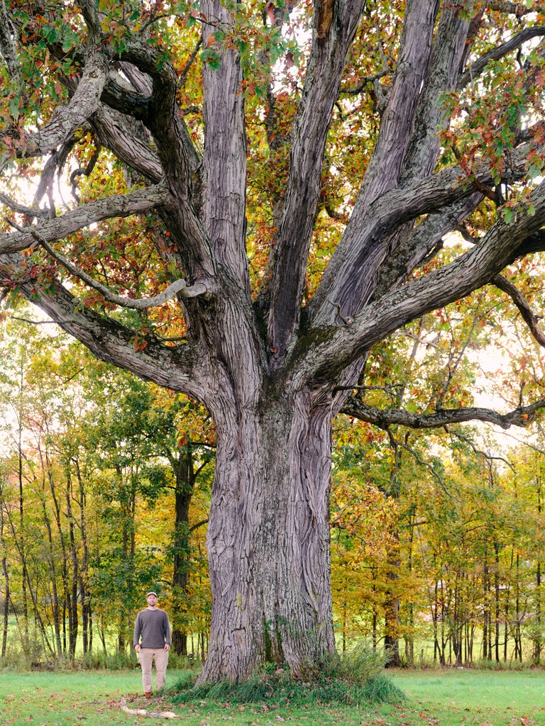 The 2023 Landis Big Tree Search was a TREEmendous Success!