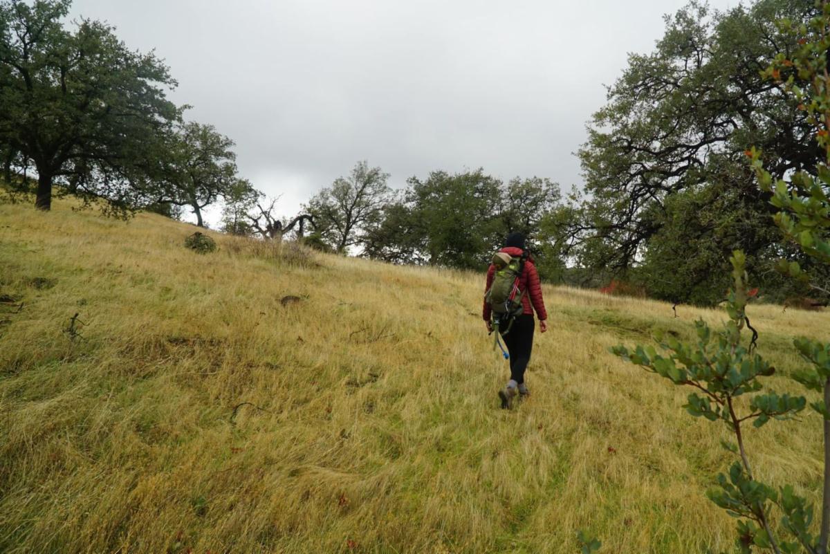 enjoying an area conserved by SDRPF