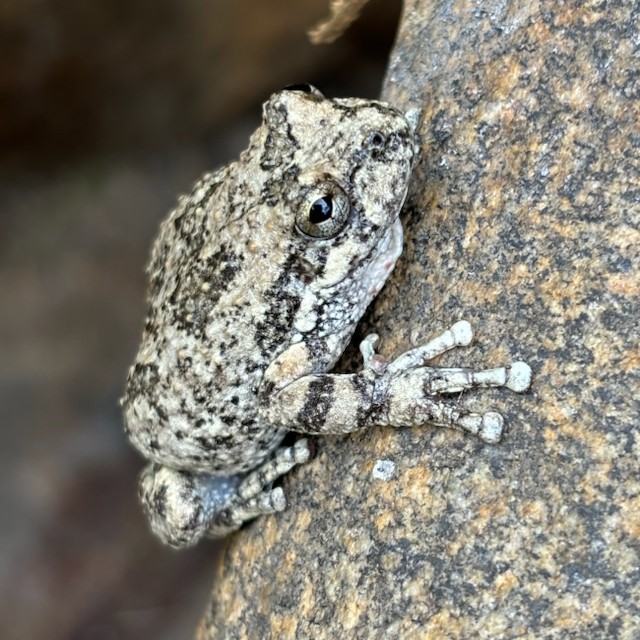 Wonderful wildlife along one of the river's tributaries
