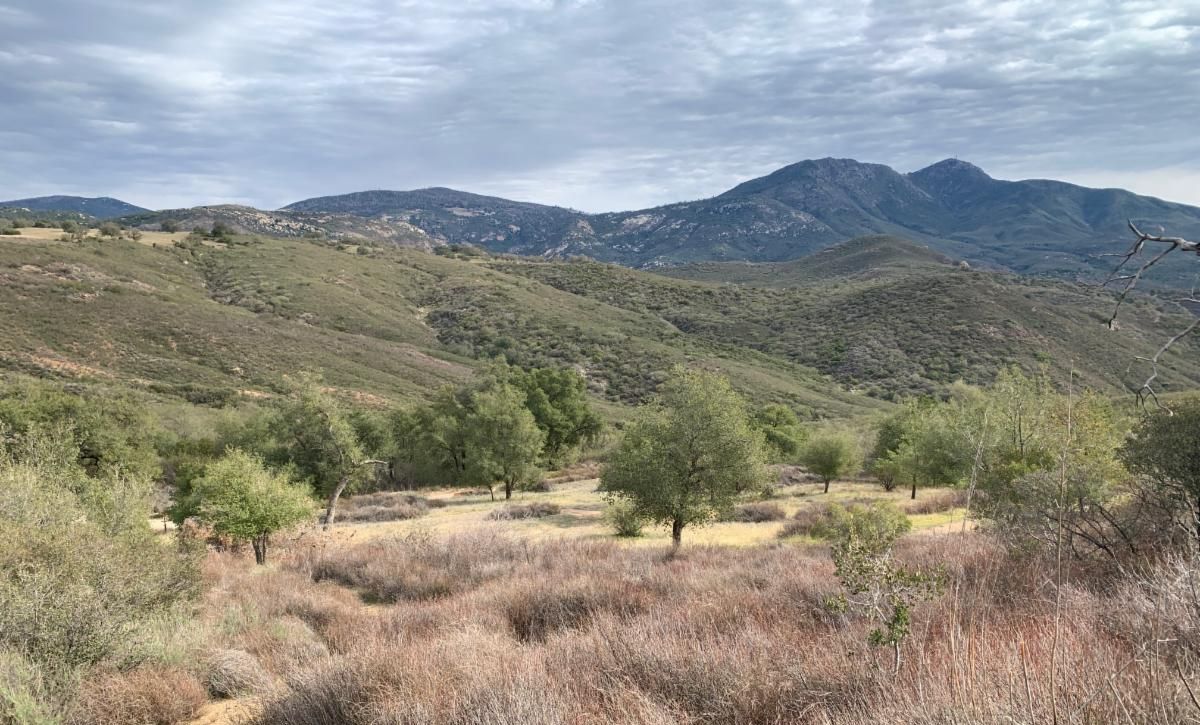 Acquisition Alert Save Lillian Hill💚