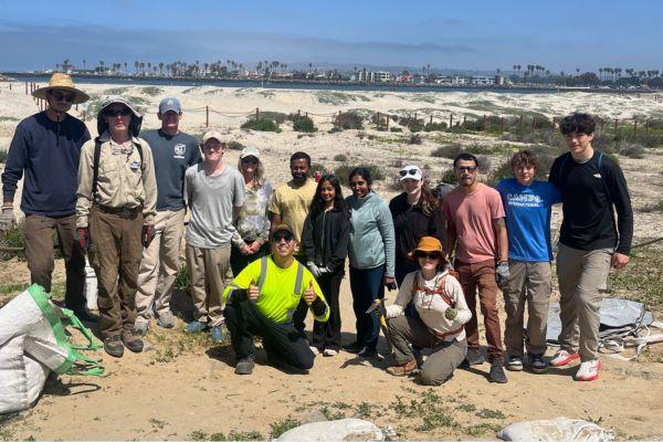 volunteers on the sand dunes at the estuary with invasive plants in a bundle