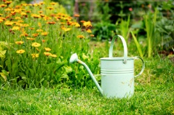 watering can sitting in lawn in front of flower bed