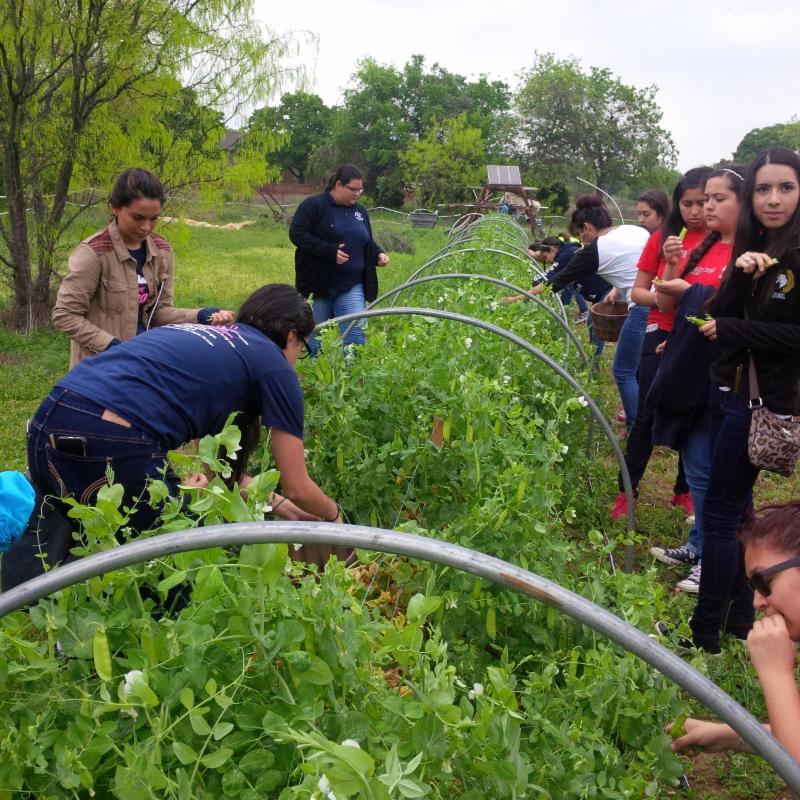 Pioneer Grove Motion to Pass Failed