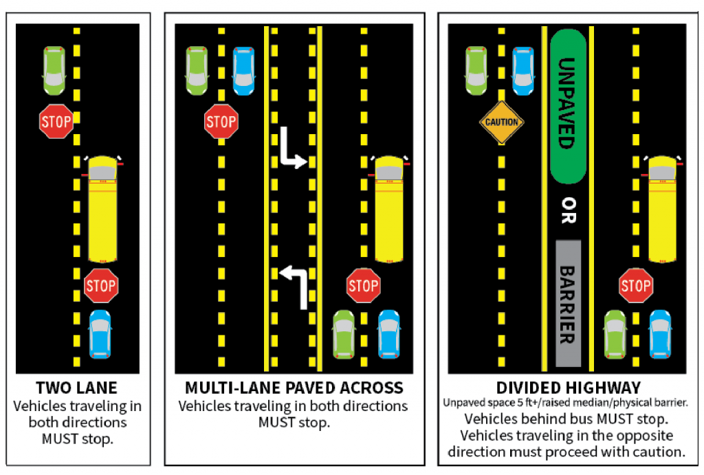 School_buses-03-01-1024x691.png