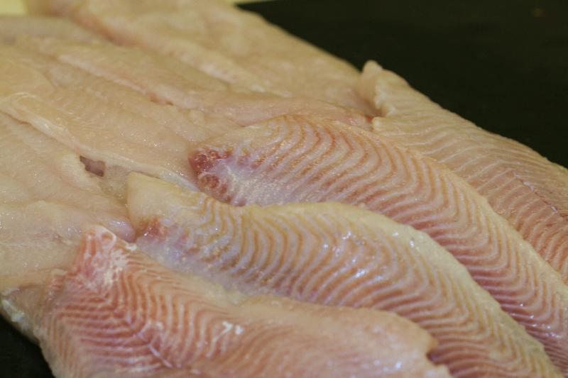 Fresh Catfish Fillets
