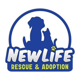 branding logo