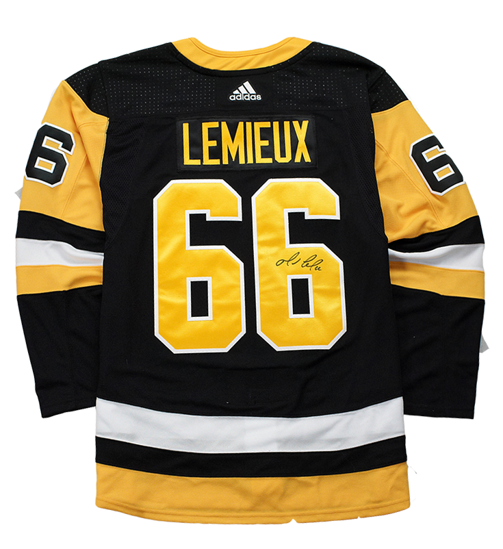 Join Team Lemieux Looking for Runners, Walkers and Volunteers!