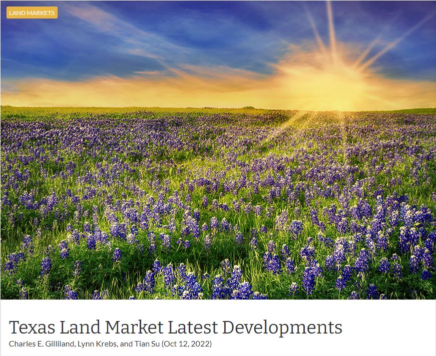 Blanco County Land Market Report
