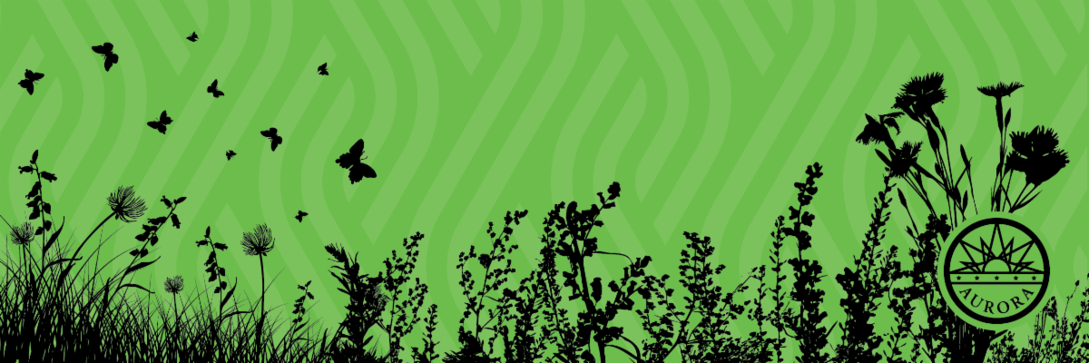 Silhouette of pollinators in the grass
