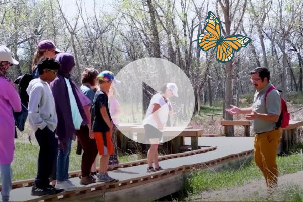 David Footle taking volunteers out to Star K Ranch to look for monarchs