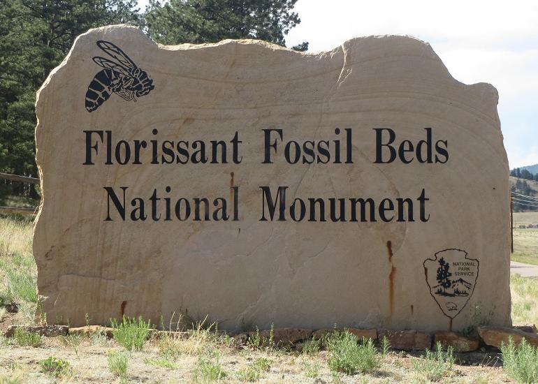 fossil beds