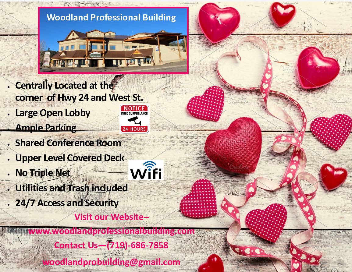 Professional Building