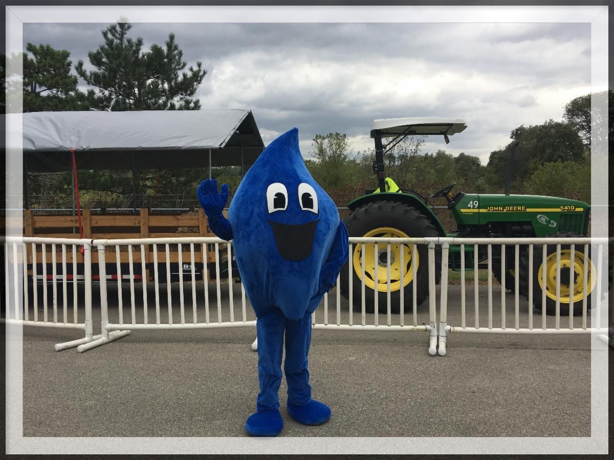 Carol Stream Halloween Update