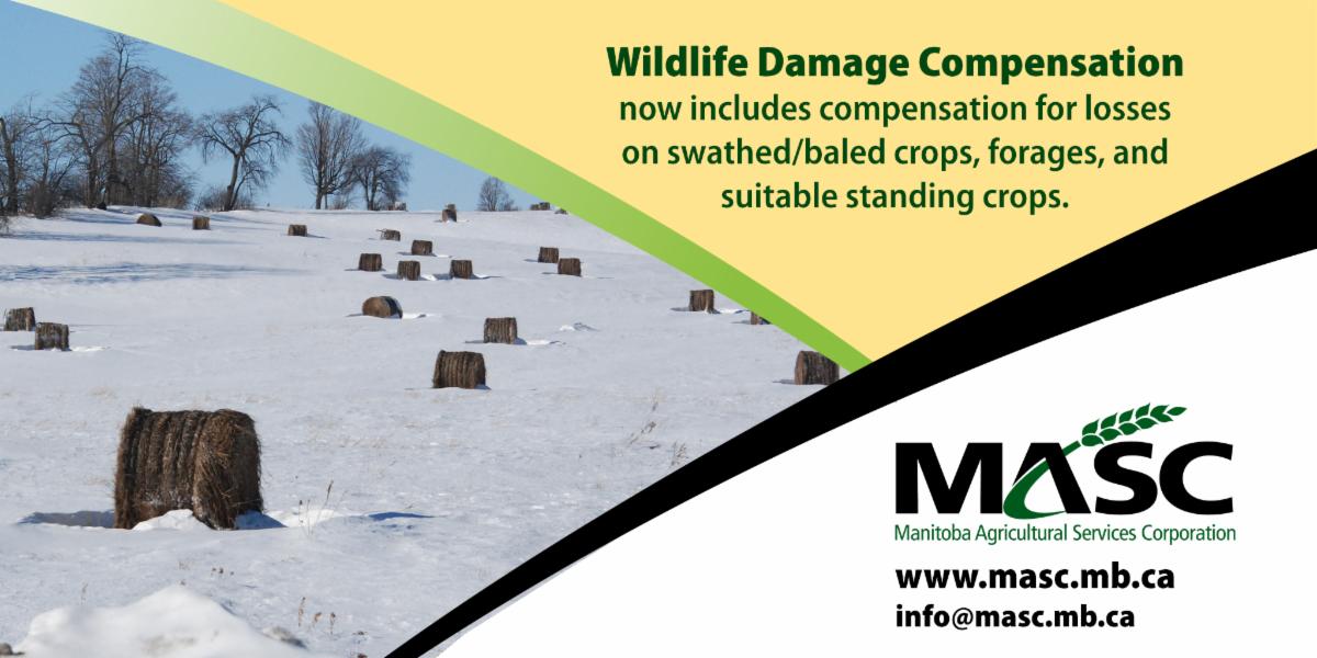 MASC Wildlife Damage Compensation