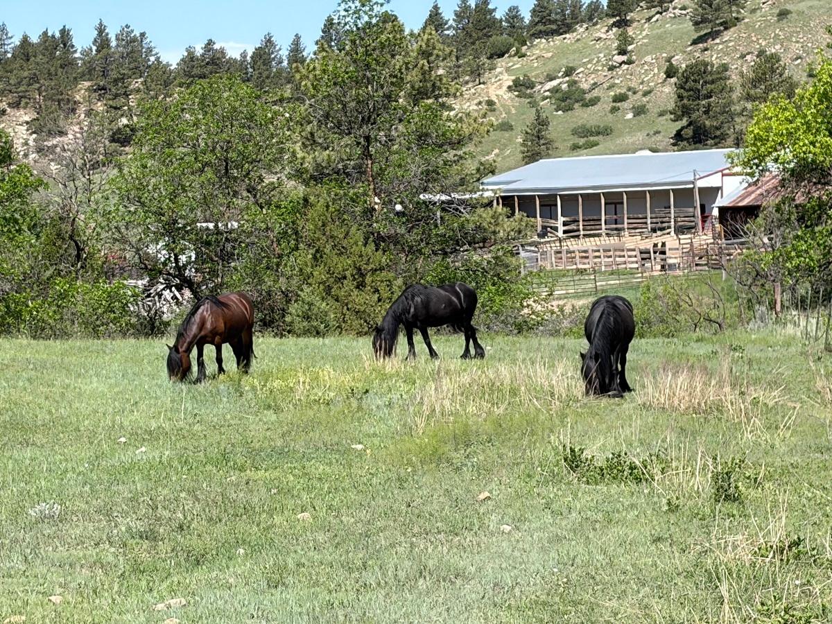 Three Sisters