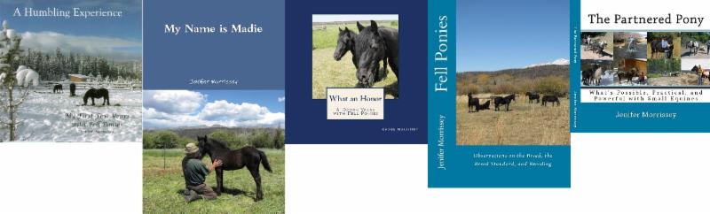 Books by Jenifer Morrissey