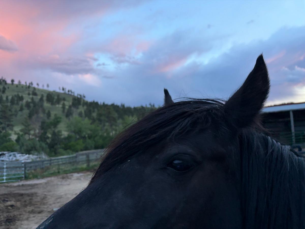 Madie sunset