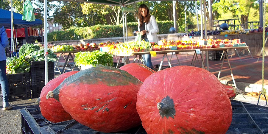 Gourds at the farmers market