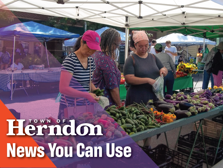 Shoppers buying vegetables at farmers market