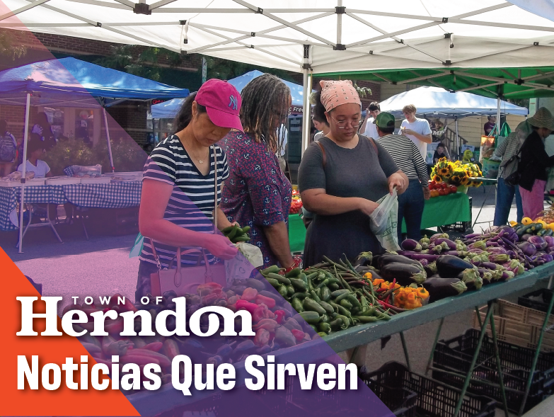 Noticias Que Sirven (graphic)