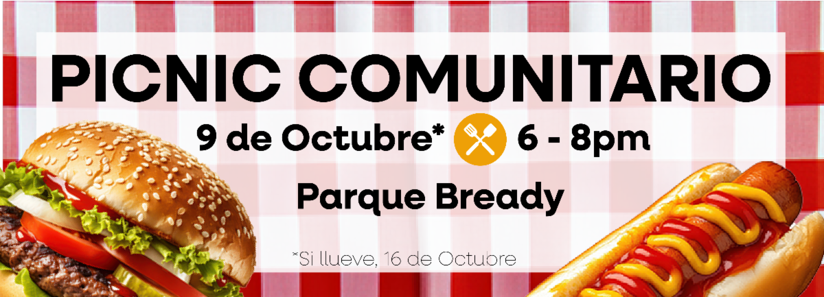 picnic comunitario