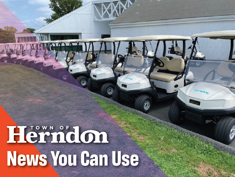 Golf carts lined up at Herndon Centennial